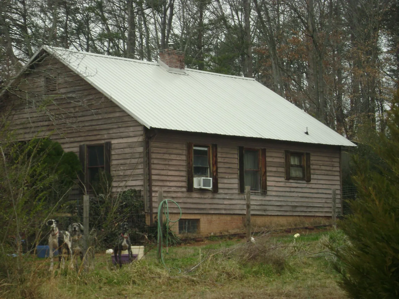 White metal roof on an old wood sided farmhouse, from a Asphalt Shingle Roof Repair job in Tennyson